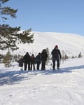 SNOWSHOEING IN NATIONAL PARK