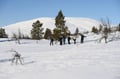 SNOWSHOEING IN NATIONAL PARK