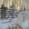 Private Reindeer Feeding Experience with Local Guide in Levi