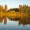 Relaxing Canoe & Panoramic Sauna Experience