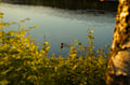 Relaxing Canoe & Panoramic Sauna Experience