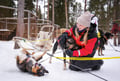 Husky Safari 10 km Self-Drive, Levi