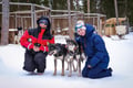 Husky Safari 10 km Self-Drive, Levi
