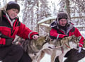 Husky Safari 10 km Self-Drive, Levi