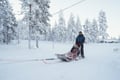 10 km Husky Ride in Lapland