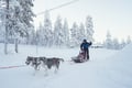 10 km Husky Ride in Lapland