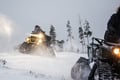 INTO THE WILD: PRIVATE SAFARI & Lunch by the Fire in Glass Igloo*