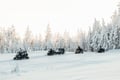 INTO THE WILD: PRIVATE SAFARI & Lunch by the Fire in Glass Igloo*
