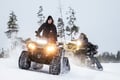 INTO THE WILD: PRIVATE SAFARI & Lunch by the Fire in Glass Igloo*