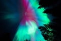 Rovaniemi: Guaranteed Northern Lights - Small Group & Photography