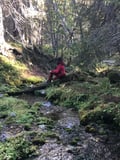 Picnic to Ruoppaköngäs in The National Park