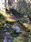 Picnic to Ruoppaköngäs in The National Park