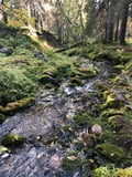 Picnic to Ruoppaköngäs in The National Park