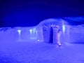 Polarman's camp and Snow Igloo Park Live ®