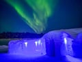 Polarman's camp and Snow Igloo Park Live ®