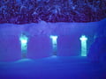 Polarman's camp and Snow Igloo Park Live ®