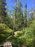 Rovaniemi: Korouoma Canyon Hike Tour & Barbeque - Small Group