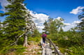 Rovaniemi: Korouoma Canyon Hike Tour & Barbeque - Small Group