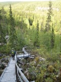 Rovaniemi: Korouoma Canyon Hike Tour & Barbeque - Small Group