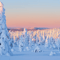 Riisitunturi National Park Hiking Tour from Rovaniemi – Small Group Day Trip