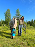 Morning Horse Ranch Experience - summer edition