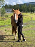 Morning Horse Ranch Experience - summer edition