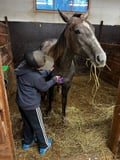 Morning Horse Ranch Experience - winter edition