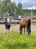 Morning Horse Ranch Experience - summer edition