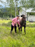 Morning Horse Ranch Experience - summer edition