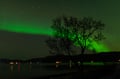 Private Northern Lights Minibus Chase (16-seater)
