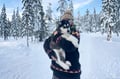 Rovaniemi: Winter Husky Safari - Drive Your Own Husky Team (5-8 km), Small Group & BBQ