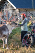 Electric Fatbike Trip to the Reindeer Farm