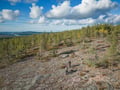 Electric Fatbike Tour from Rovaniemi