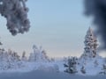 Arctic Steps – Snowshoeing in Levi with a Picnic on the Snow
