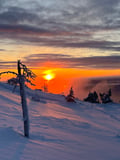 Arctic Steps – Snowshoeing in Levi with a Picnic on the Snow