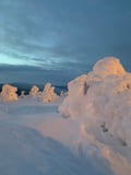 Arctic Steps – Snowshoeing in Levi with a Picnic on the Snow