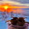 Arctic Steps – Snowshoeing in Levi with a Picnic on the Snow