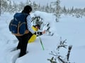 Arctic Steps – Snowshoeing in Levi with a Picnic on the Snow