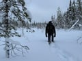 Arctic Steps – Snowshoeing in Levi with a Picnic on the Snow