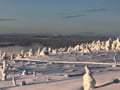 Arctic Steps – Snowshoeing in Levi with a Picnic on the Snow
