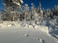 Arctic Steps – Snowshoeing in Levi with a Picnic on the Snow