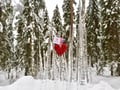 Finnish Christmas with Santa Claus, 3 hours (Private Tour)