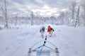 Rovaniemi Lapland Husky Experience 5km