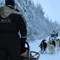 Rovaniemi Lapland Husky Experience 5km