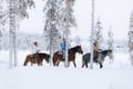 Bear's Way – Horseback trail ride