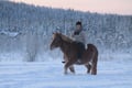 Bear's Way – Horseback trail ride