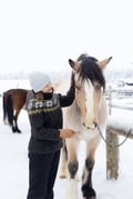 Bear's Way – Horseback trail ride