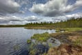 Forest Hike in Search of Finnish Mythological Creatures