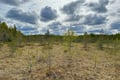 Forest Hike in Search of Finnish Mythological Creatures
