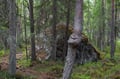 Forest Hike in Search of Finnish Mythological Creatures